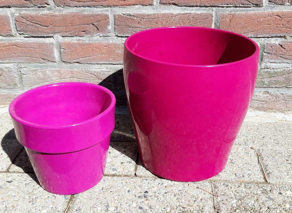 2 fuchsia bloempotten, Enlèvement, Moins de 100 cm