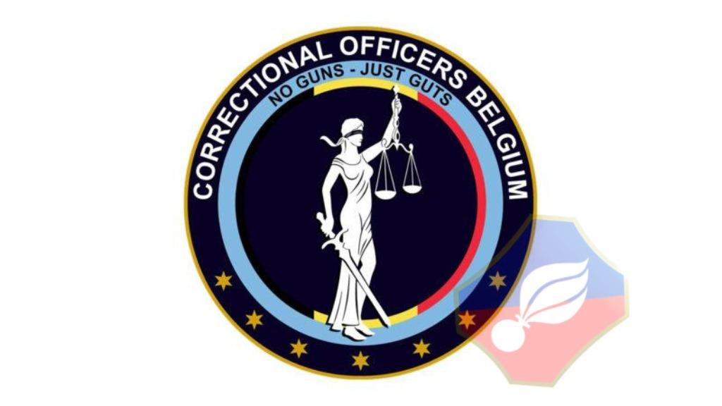 CIPIERS PENITENTIAIR LUXE BINNEN RAAM STICKER, Verzenden, Rijkswacht, Embleem of Badge