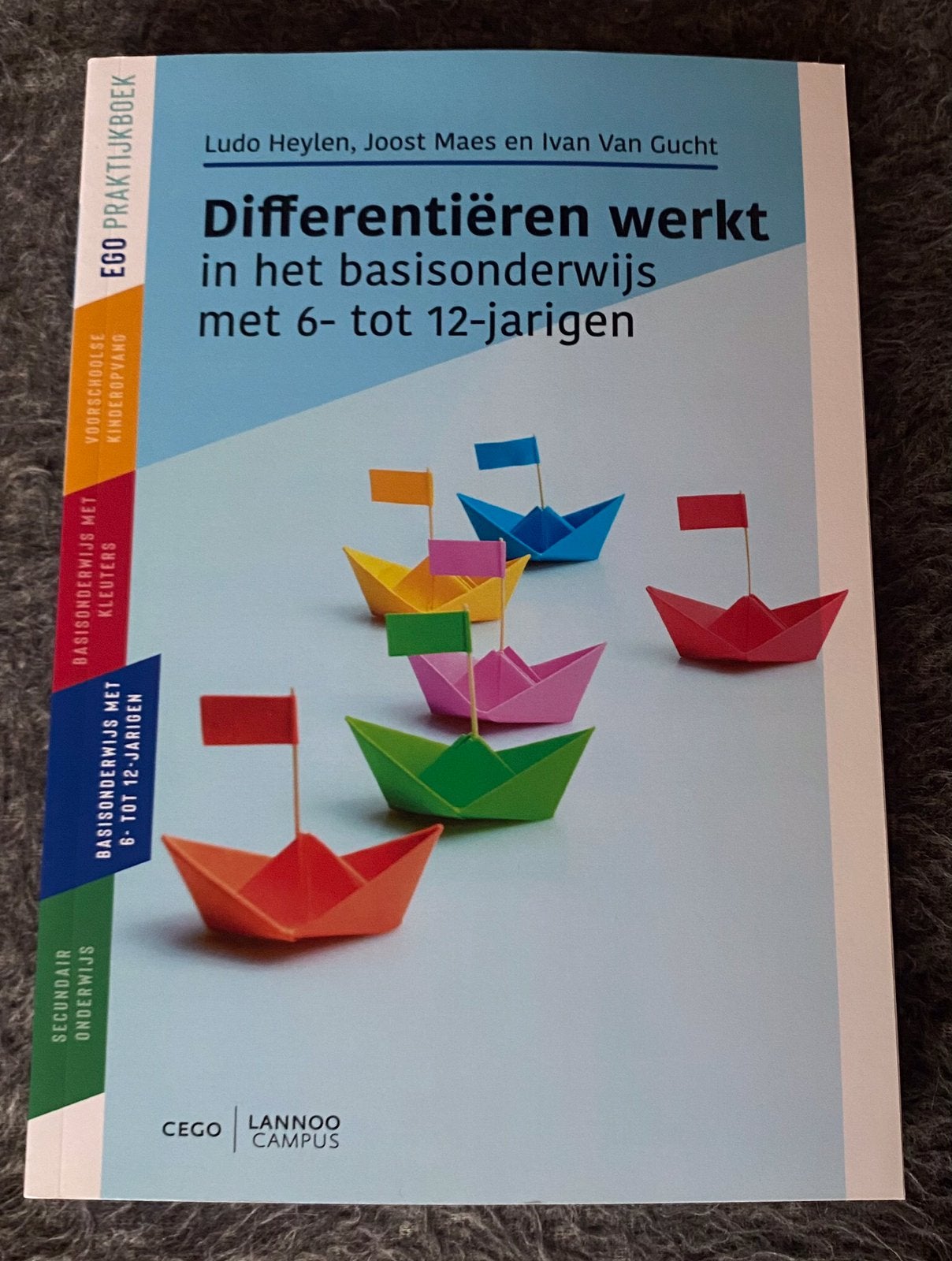 Differentiëren werkt in het basisonderwijs, Ophalen of Verzenden, Zo goed als nieuw