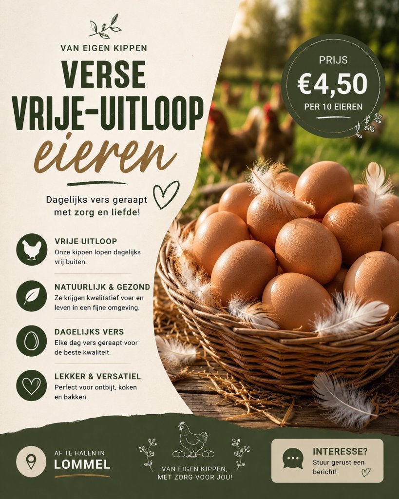 Verse vrije-uitloopeieren – Dagelijks vers, Diversen, Levensmiddelen, Ophalen