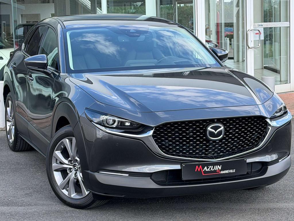 Mazda CX-30 2.0i SKYACTIV-G * Skycruise * Bose * Cuir * Cam, Argent ou Gris, Achat, Euro 6, Entreprise