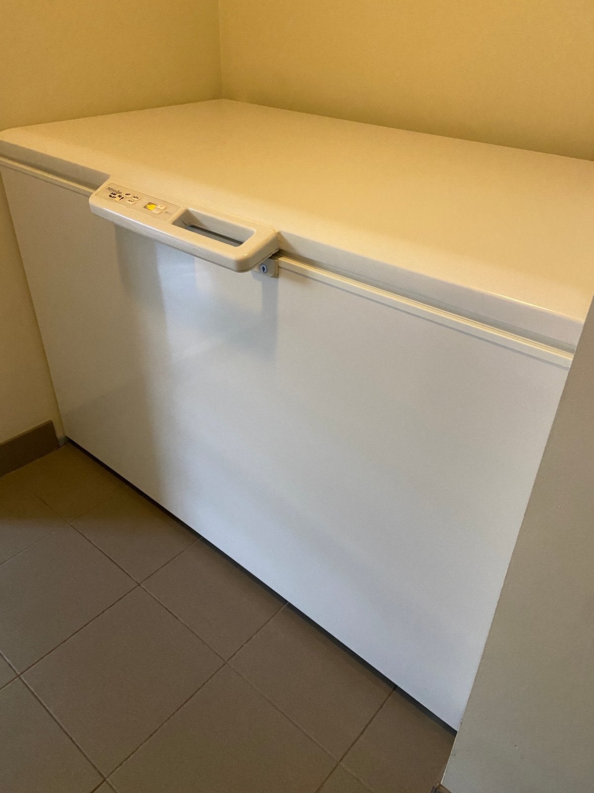 Mielle diepvrieskist perfect in orde., Elektronische apparatuur, Vriezers en Diepvrieskisten, Vrieskist, 160 cm of meer, Zo goed als nieuw