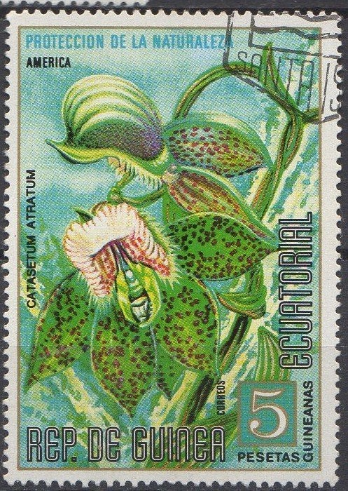 Equatoriaal Guinea - Orchidee Catasetum arratum - 1974, Timbres & Monnaies, Timbres | Afrique, Enlèvement ou Envoi, Affranchi