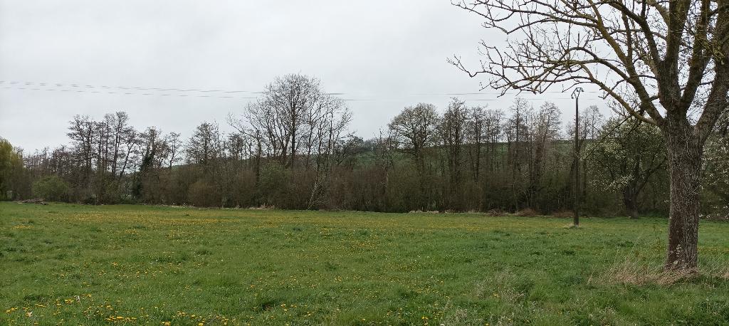 Bouwgrond in Normandië FRANKRIJK, Immo, Gronden en Bouwgronden, France, 1000 tot 1500 m²