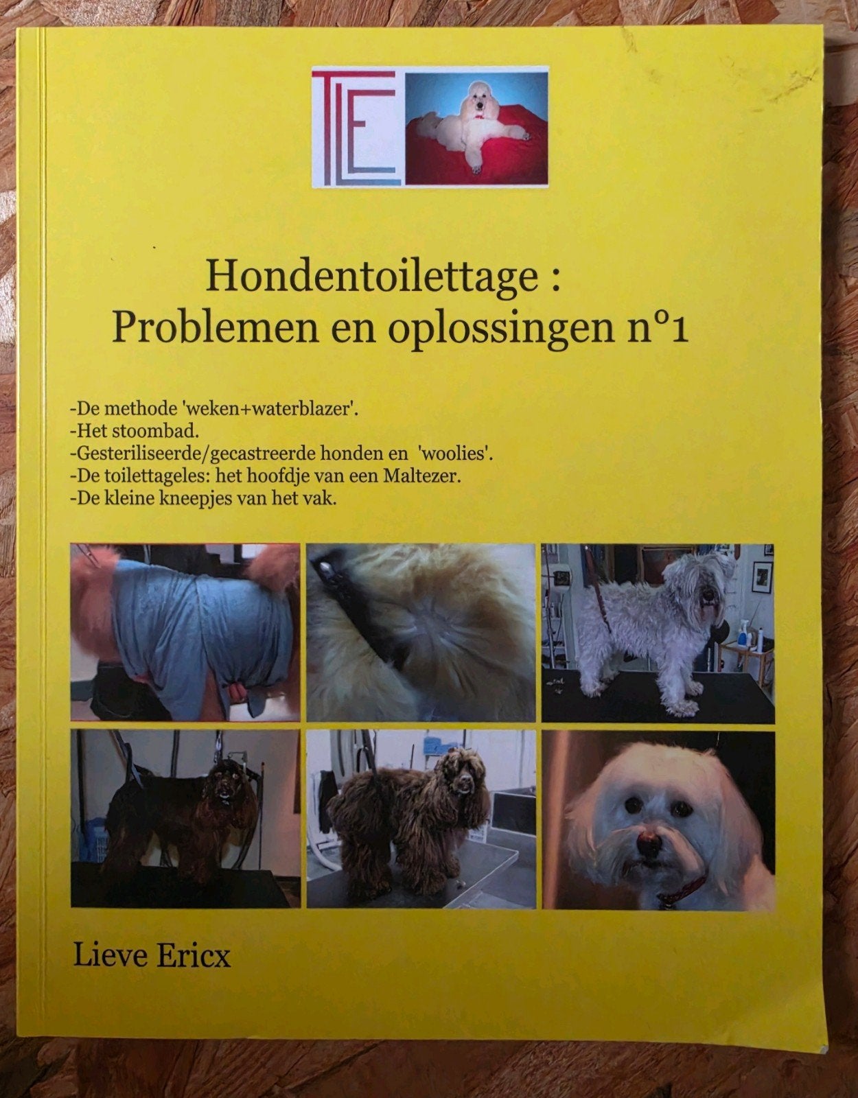 Hondentoilettage : Problemen en oplossingen n1, Ophalen of Verzenden, Honden
