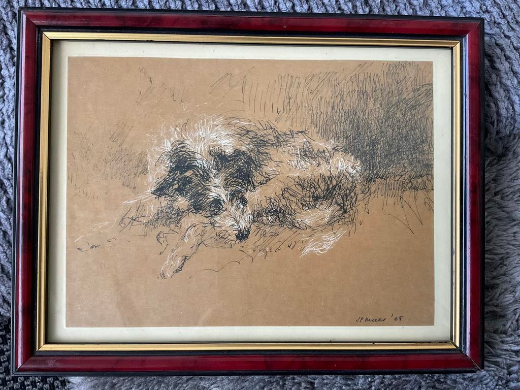 Tekening van slapende hond door Jean-Pierre Maes 1965, Antiek en Kunst, Kunst | Schilderijen | Klassiek, Ophalen