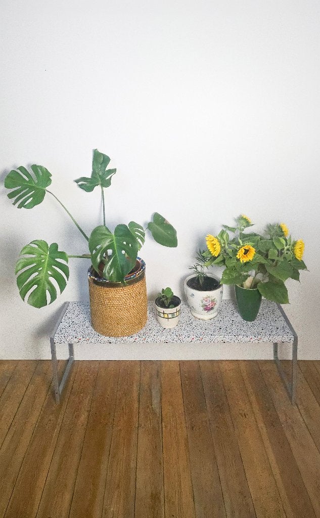 Plantenplank/display/bank - metaal en hout, Ophalen of Verzenden, Zo goed als nieuw, Etagère, Hout