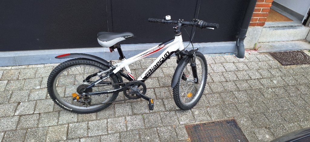 Vélo Minerva Alpine 20 pouces pour garçons, Frein sur jante, Minerva, 20 pouces, Enlèvement