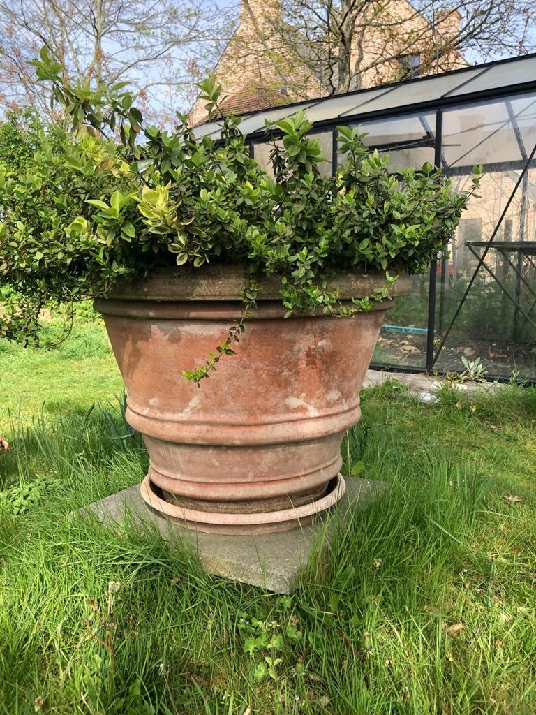 Zeer grote terracotta bloempot (60cm hoogte / diameter 80cm), Tuin en Terras, Ophalen, Gebruikt, 40 cm of meer, Rond