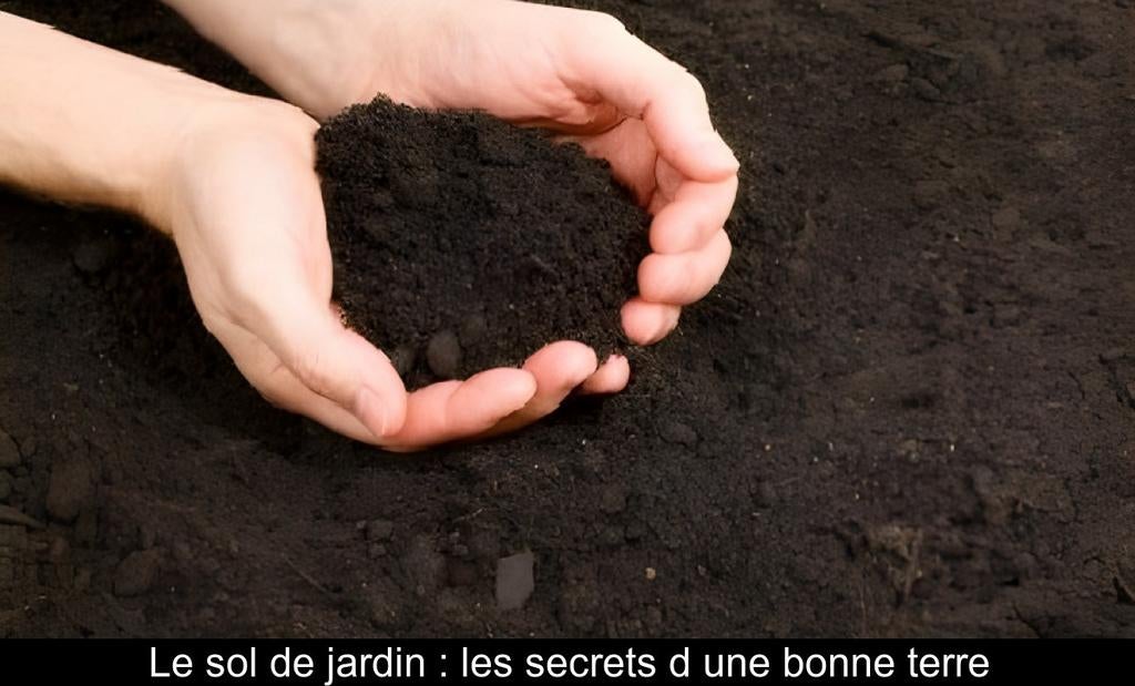 Très bonne terre arable fraisée de qualité au m³, Jardin & Terrasse