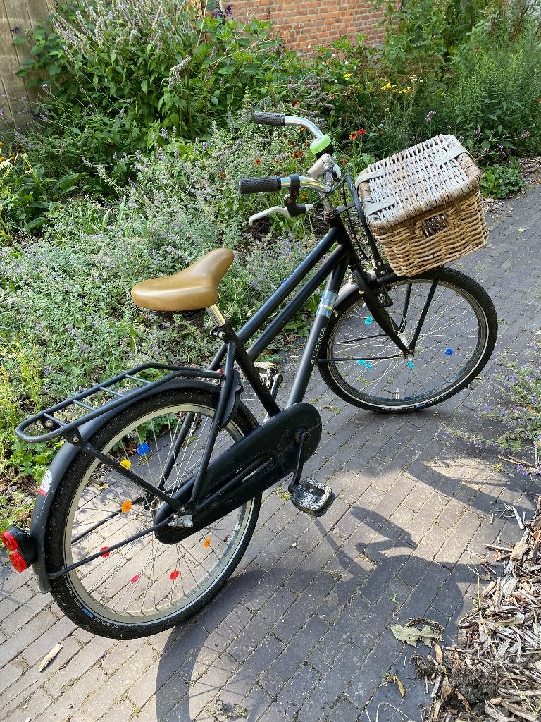Alpina Kinderfiets 22 inch, Fietsen en Brommers, Ophalen, Gebruikt, 20 inch of meer, Alpina