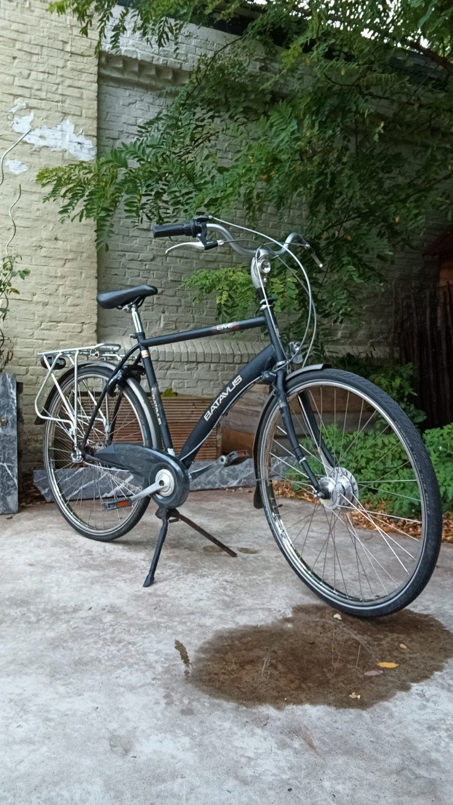 Batavus fiets in goede staat, Ophalen, Velgrem, Versnellingen, Batavus