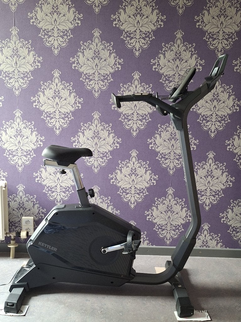 Hometrainer Kettler, Enlèvement, Utilisé, Vélo d'appartement