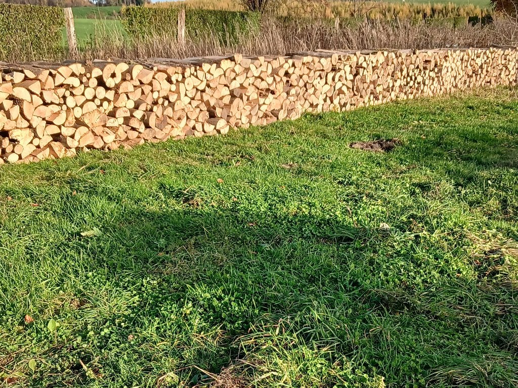 BOIS DE CHAUFFAGE SEC DE QUALITES TOUTE L'ANNEE !!!, Enlèvement, Utilisé, Autres types, Bois dur