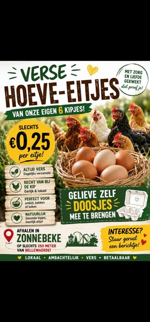 Verse eitjes te koop (Zonnebeke), Divers, Produits alimentaires, Enlèvement