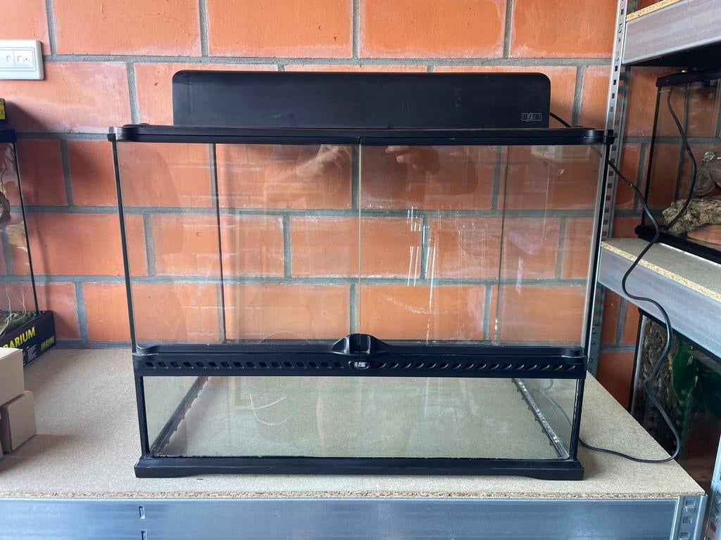 ExoTerra terrarium 60x45x45, Dieren en Toebehoren, Ophalen, Zo goed als nieuw