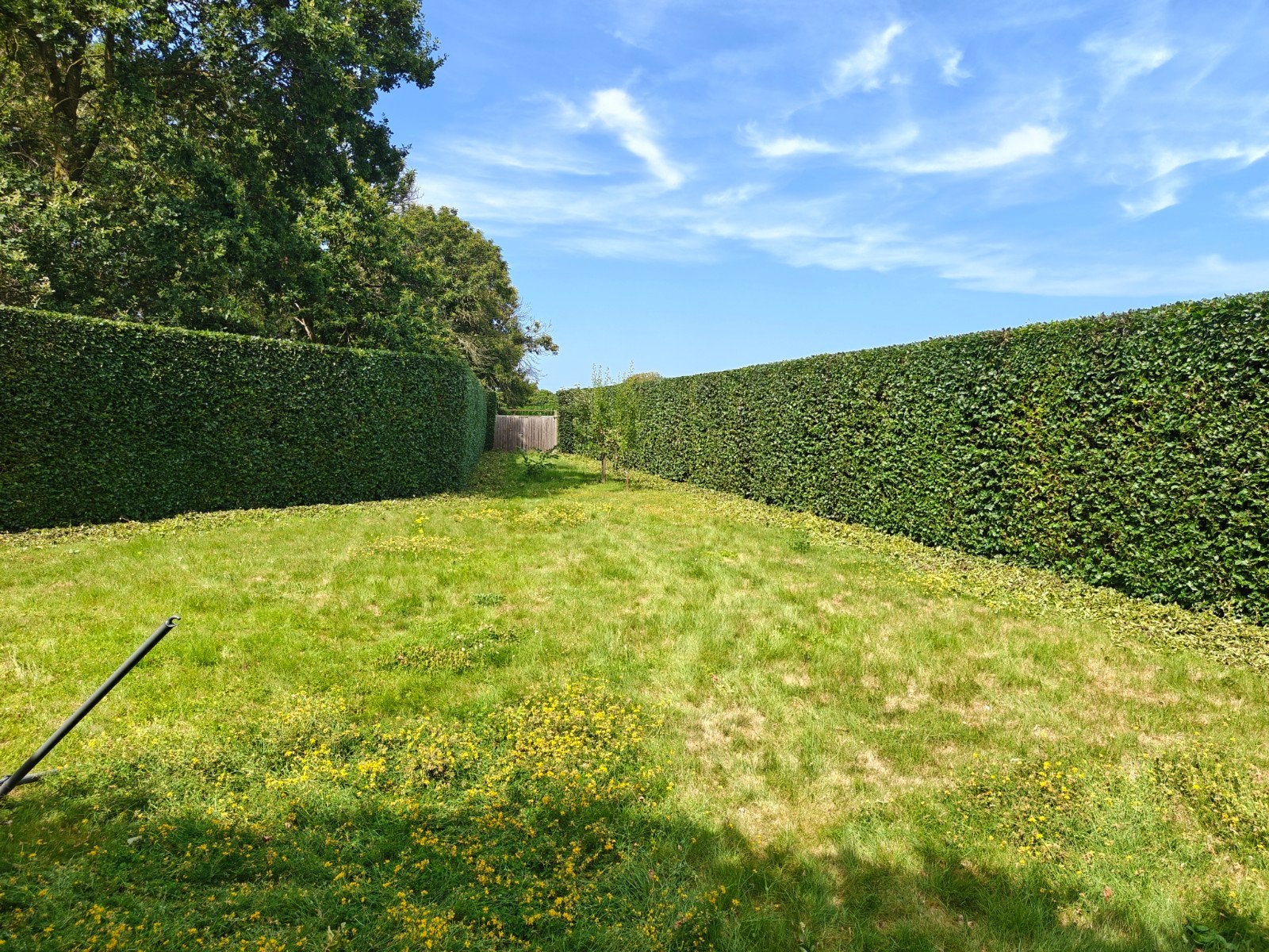 Tuinonderhoud van Tricht, Enlèvement, Herbe