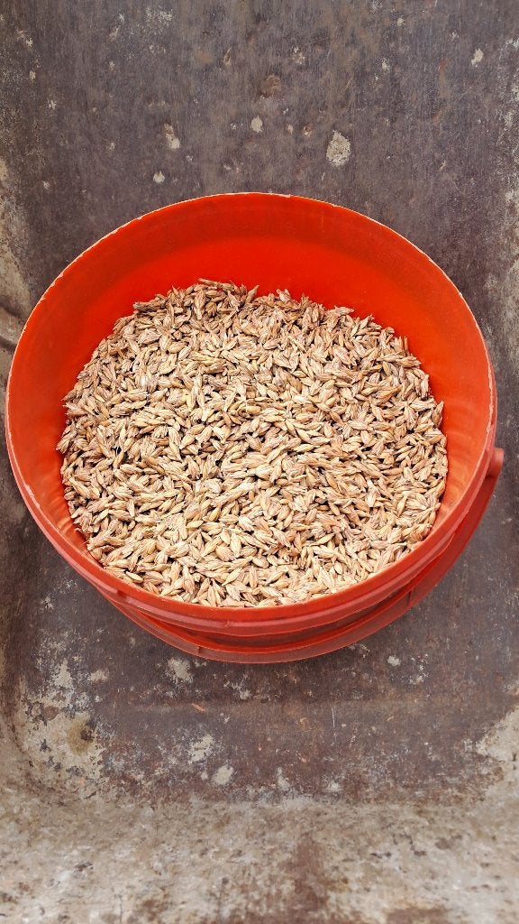 Spelt, Ophalen