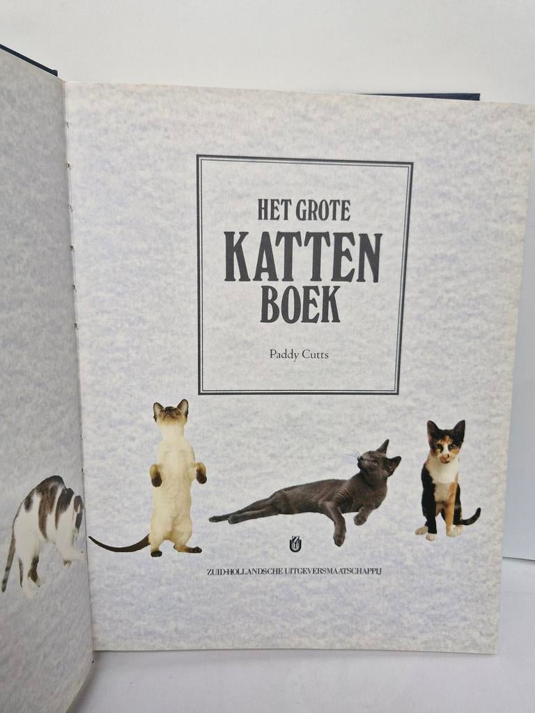 🐈 Het grote kattenboek 🐈‍⬛, Boeken, Ophalen of Verzenden, Zo goed als nieuw, P. Cutts, Katten