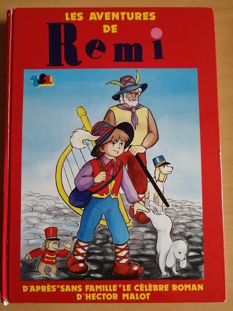 Les aventures de Remi d'aprés "Sans famille" de Hector Malot, Ophalen of Verzenden