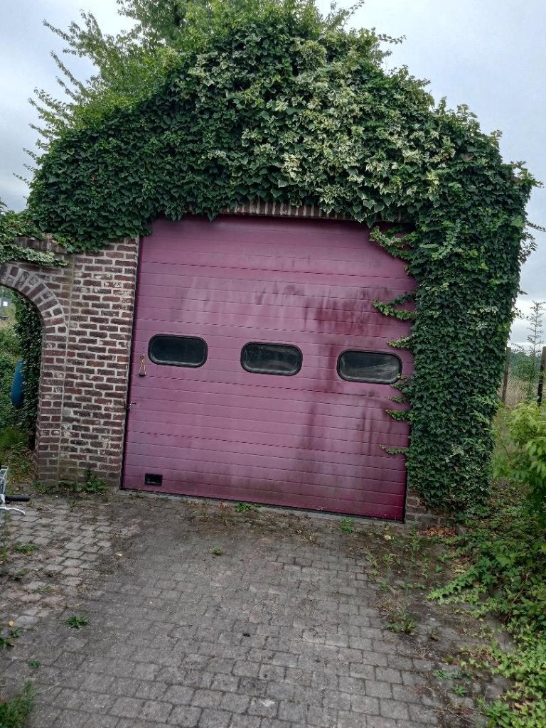 Je cherche quelqu'un pour tailler le lierre chez ma garage, Enlèvement