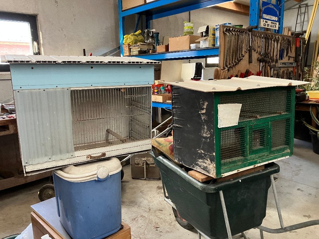 vinkenbakken, Enlèvement, Utilisé, Bois, Cage d'élevage