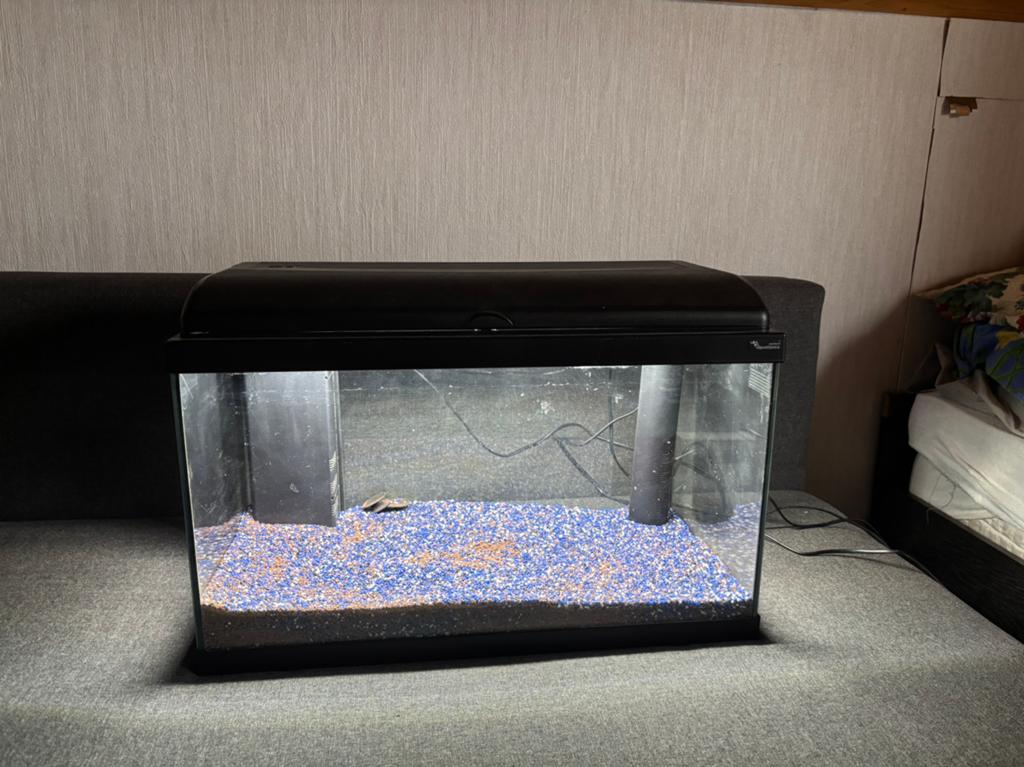 Aquarium, met toebehoren, Ophalen, Verwarming, Zo goed als nieuw, Decoratie