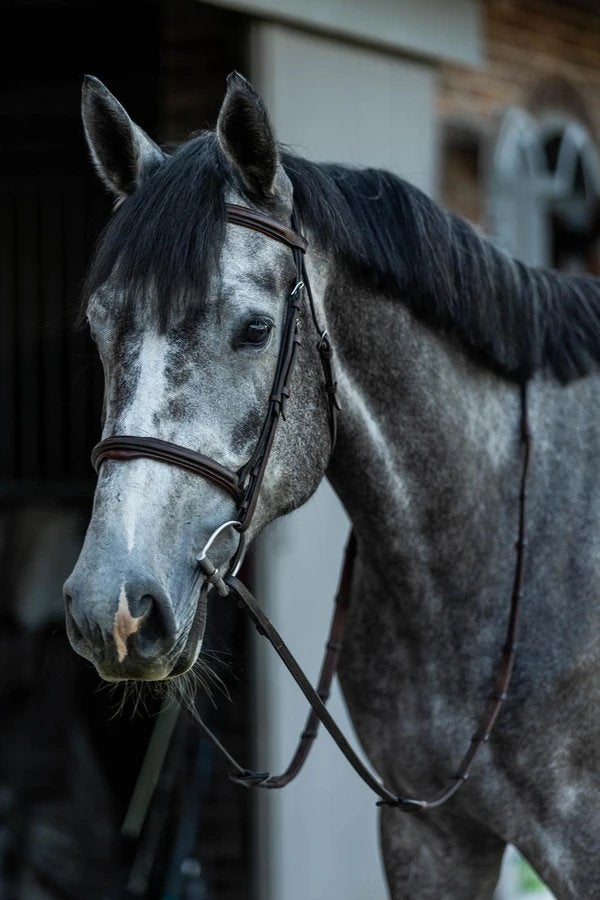 Mooie grote 3-jarige merrie, Dieren en Toebehoren, Merrie, Met stamboom, Springpaard, Niet van toepassing