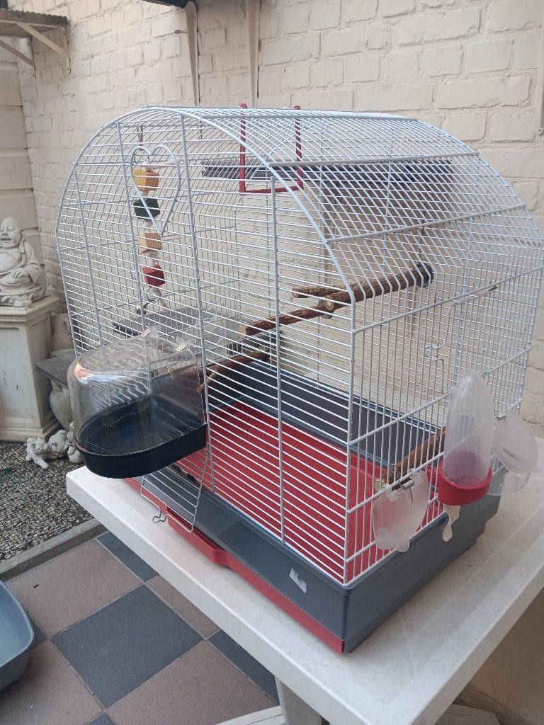 Mooie vogelkooi, Ophalen, Gebruikt, Metaal, Vogelkooi
