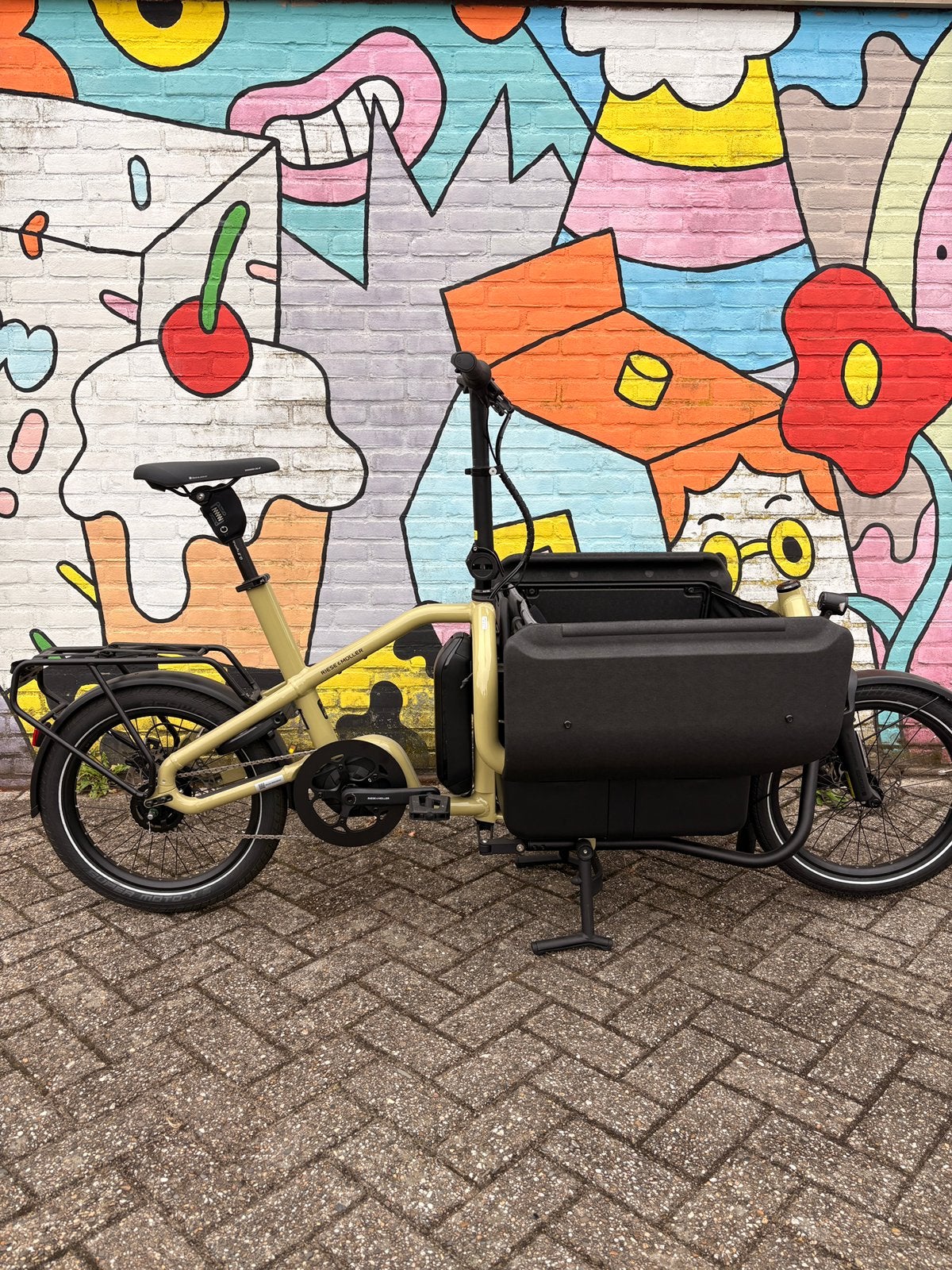Riese & Müller Carrie2 Family - 545Wh accu - regenhoes, Fietsen en Brommers, Fietsen | Bakfietsen, Overige merken, Elektrisch