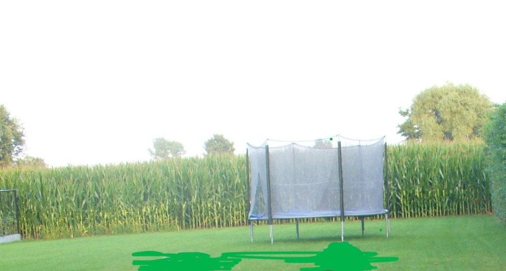 Trampoline, Enlèvement