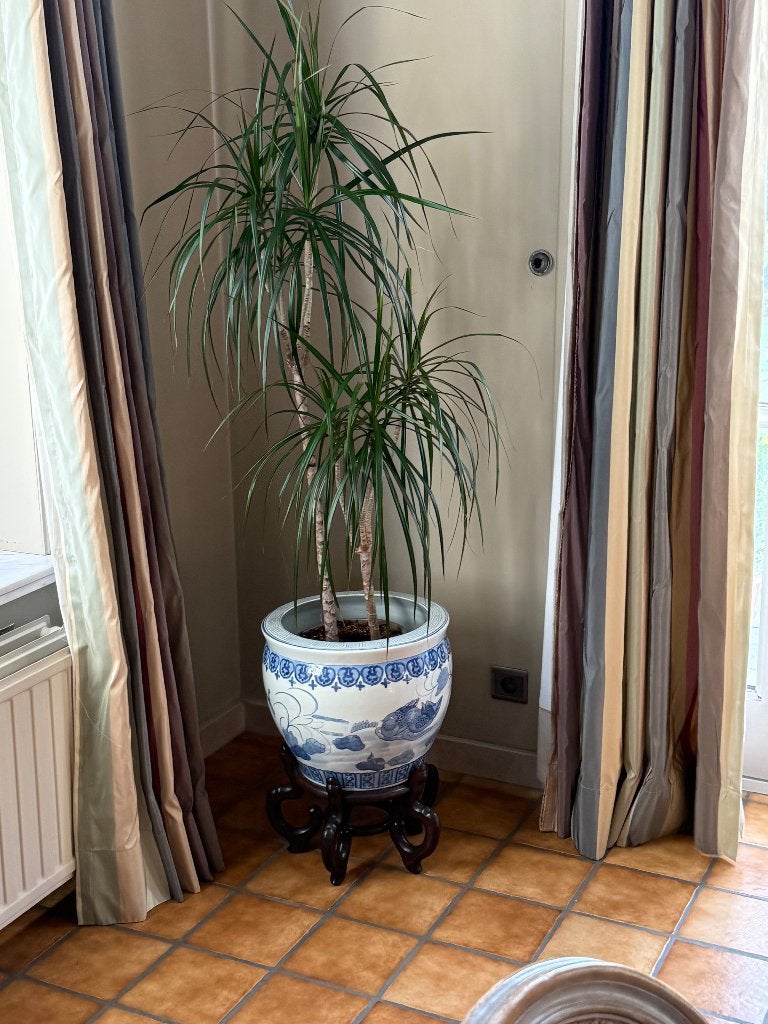 Cache pots, Enlèvement