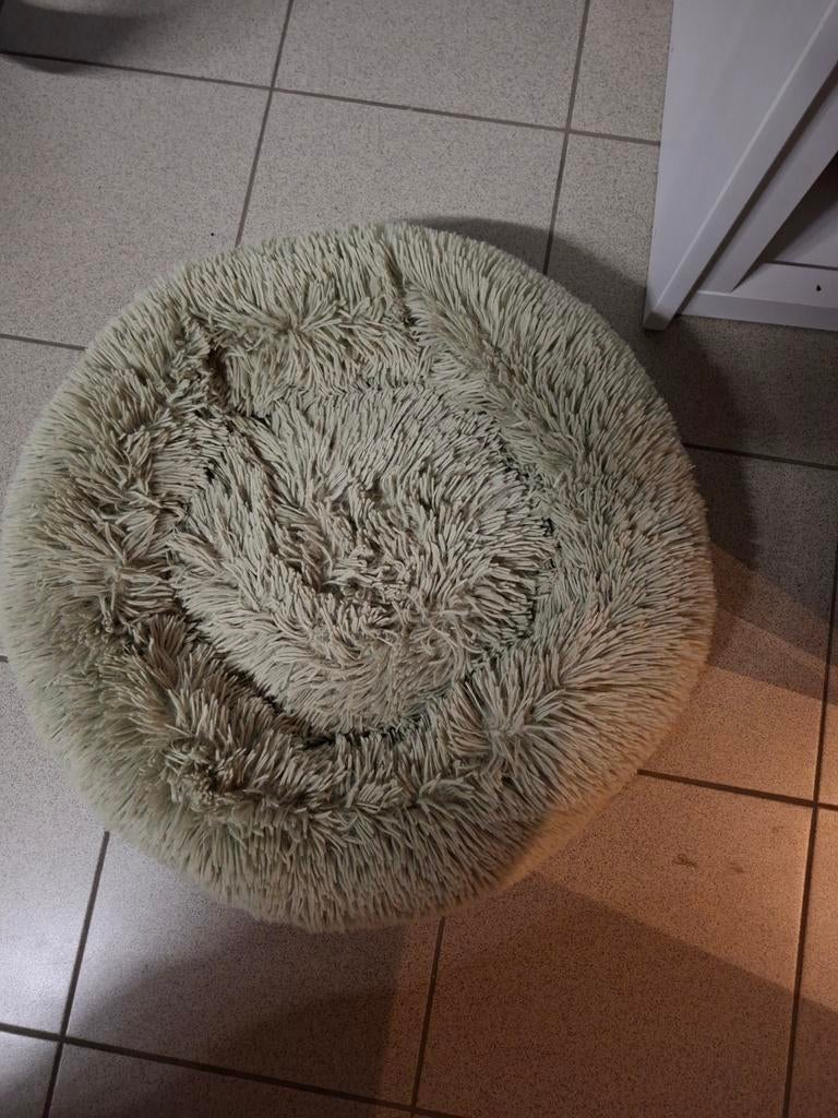 Katten mand zacht muntgroen, Enlèvement