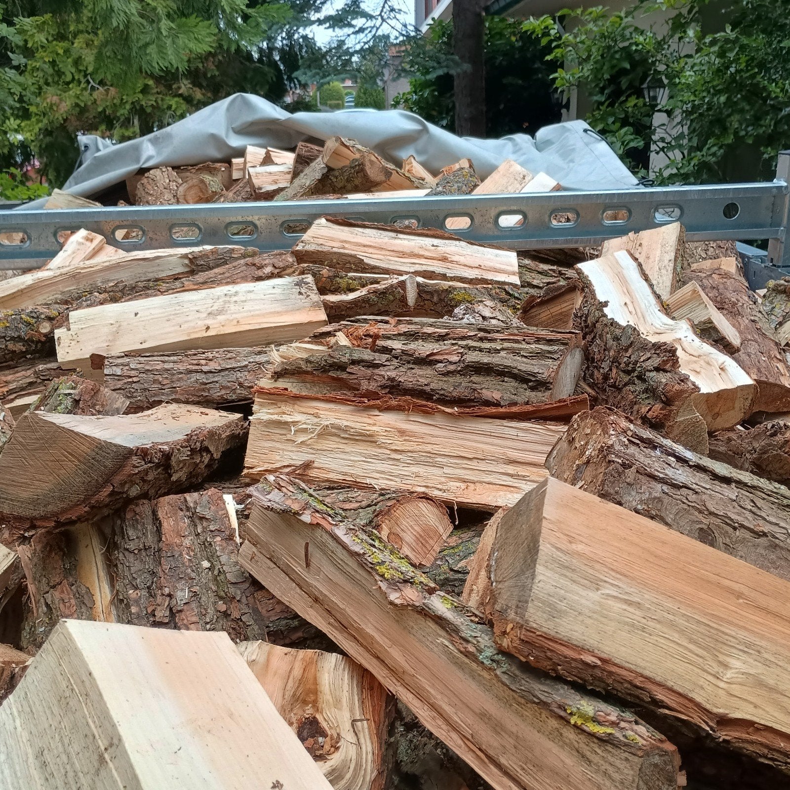 Saule semi-sec de 5 m³, 3 à 6 m³, Enlèvement ou Envoi, Autres essences de bois, Bûches