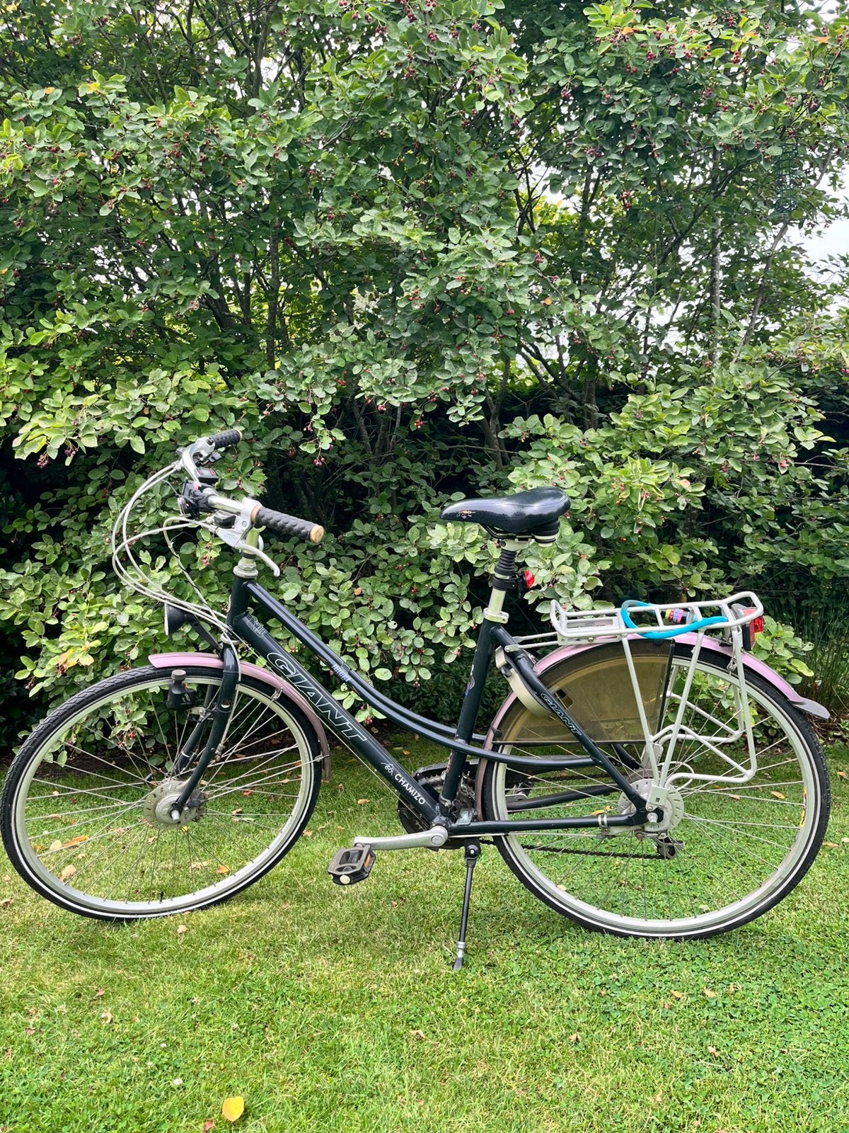 Damesfiets Giant, Vélos & Vélomoteurs, Vélos | Femmes | Vélos pour femme, Vitesses, Giant, Enlèvement, Utilisé
