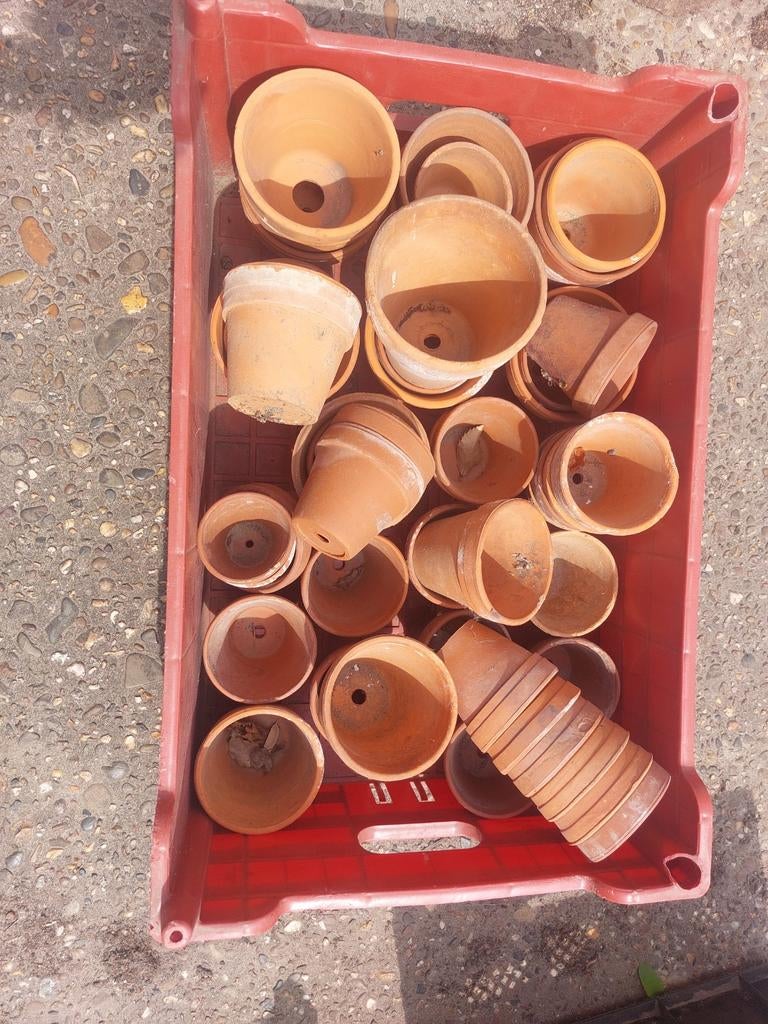 Terracotta potjes, Enlèvement