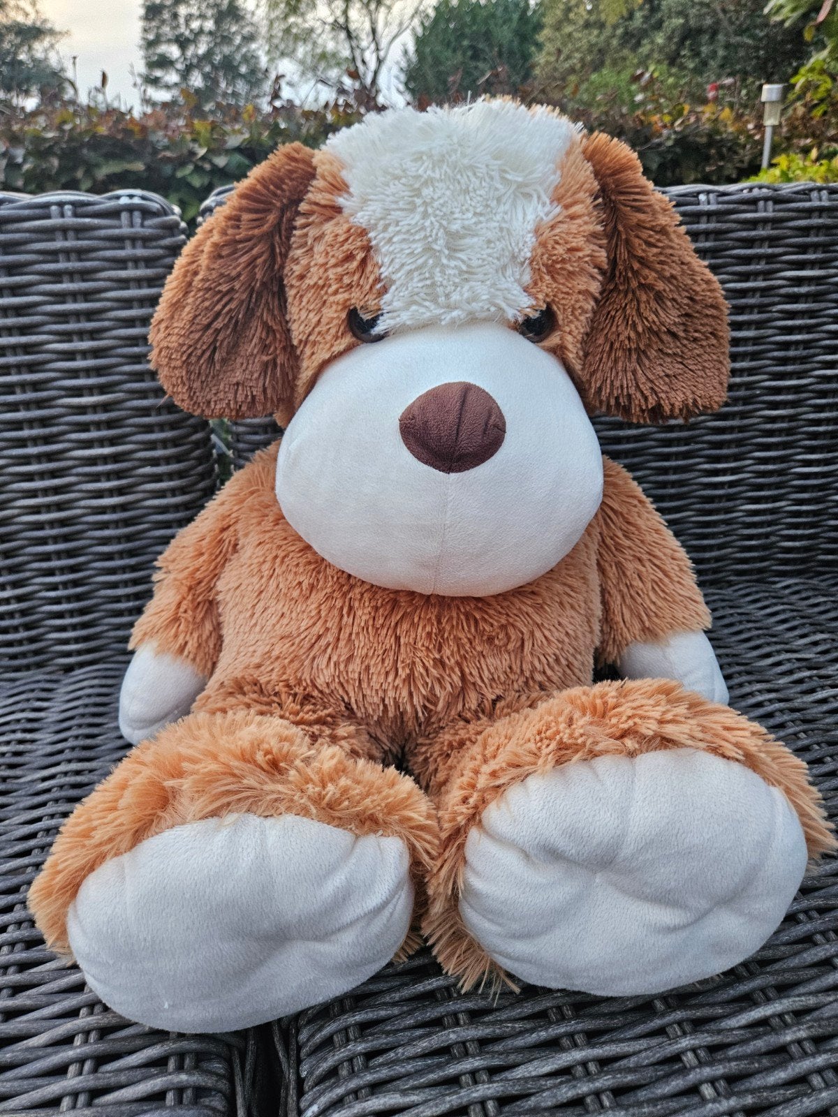 knuffelbeer, Ophalen, Zo goed als nieuw, Hond, Middelgroot (20 tot 80 cm)