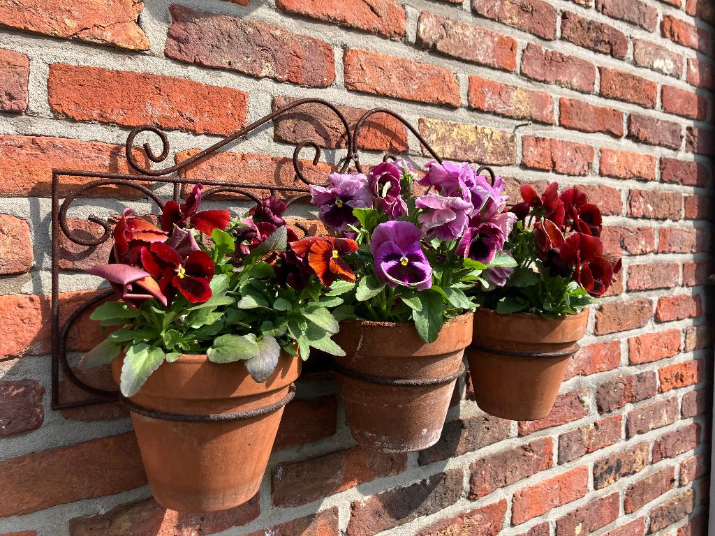 smeedijzeren muurrek / plantenhouder voor 3 bloempotten., Tuin en Terras, Ophalen, Gebruikt