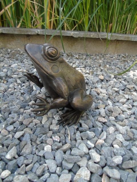 statue d une grande grenouille en bronze ..., Jardin & Terrasse, Étangs, Enlèvement ou Envoi, Neuf