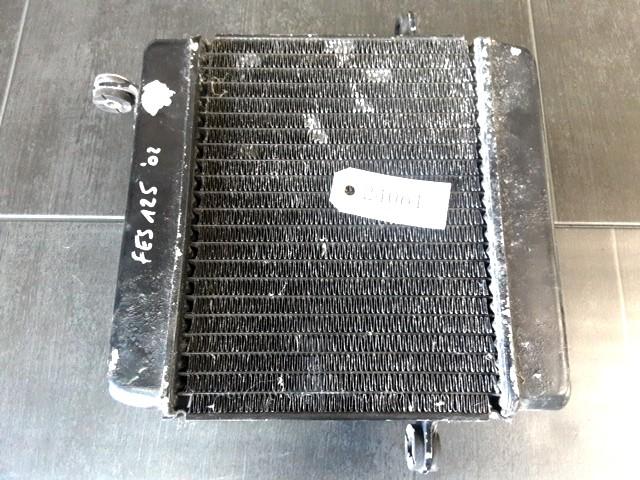 FES125 Pantheon 1997 - 2006 Honda Radiator D1-55824, Motoren, Onderdelen | Honda
