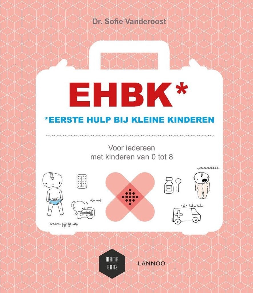 EHBK eerste hulp bij kleine kinderen sofie Vanderoost 253blz, Ophalen of Verzenden, Zo goed als nieuw