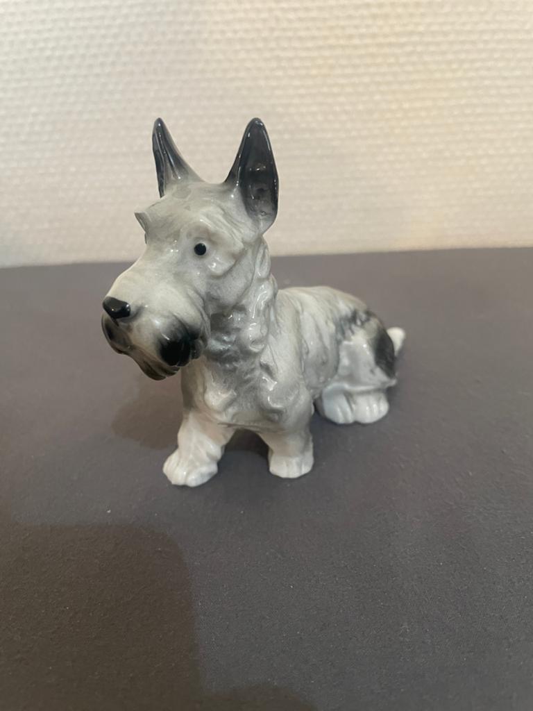 Vintage Schnauzer Terrier porseleinen beeldje Duitsland, Enlèvement ou Envoi