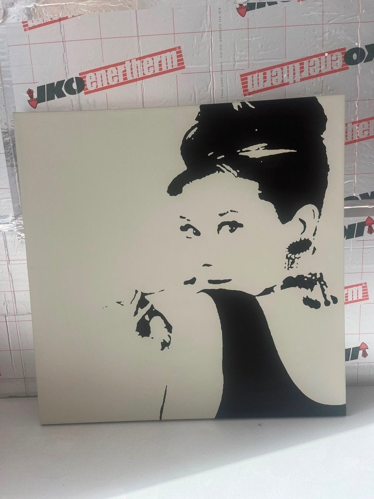 Canvas Audrey Hepburn, Maison & Meubles, Enlèvement, Comme neuf
