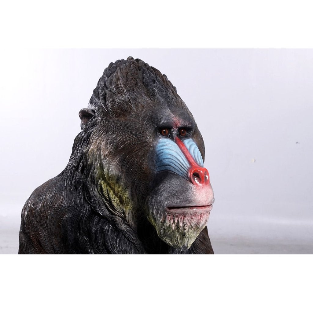 Statue Mandrill Hauteur 97 cm - Singe, Enlèvement, Neuf