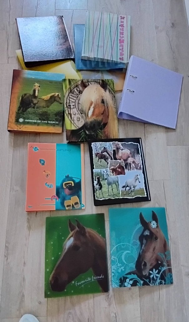 Ringmappen 11 stuks, Diversen, Ophalen of Verzenden, Zo goed als nieuw