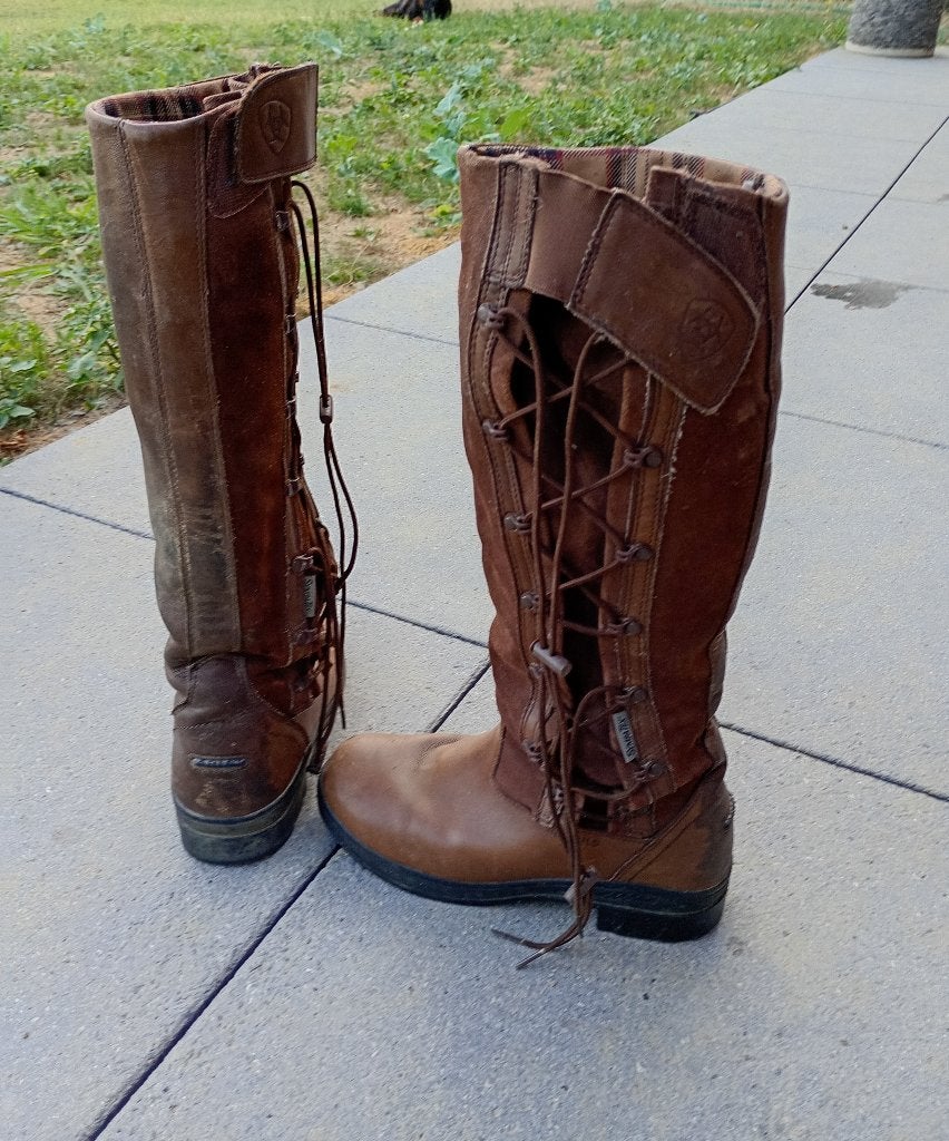 bottes équitation, Enlèvement, Utilisé, Ariat