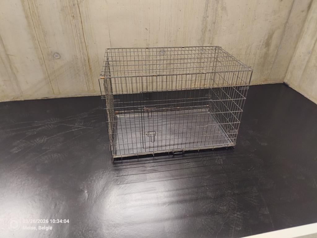 Bench grote hond, Dieren en Toebehoren, Ophalen