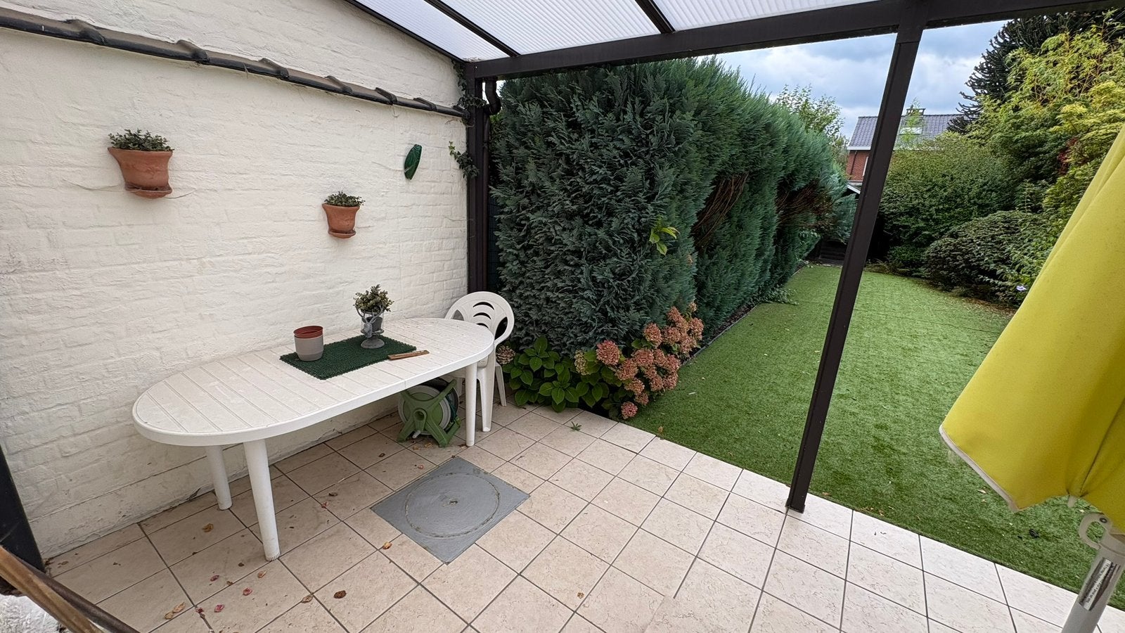 Haie, Jardin & Terrasse, Enlèvement, Conifère, Haie, 100 à 250 cm