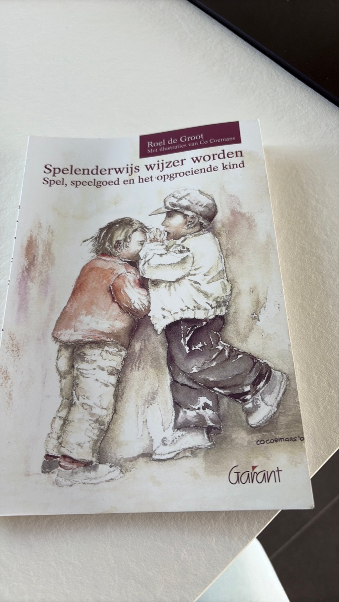 Spelenderwijze wijze worden, Livres, Art & Culture | Arts plastiques, Enlèvement ou Envoi, Comme neuf