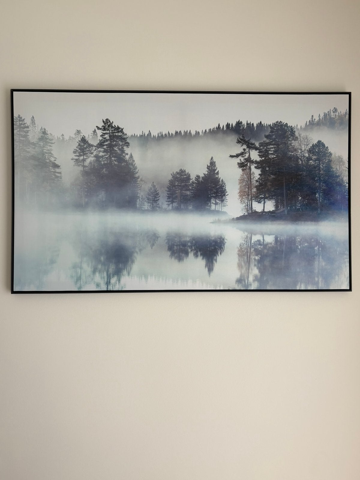 Canvas zwart wit bos, Enlèvement